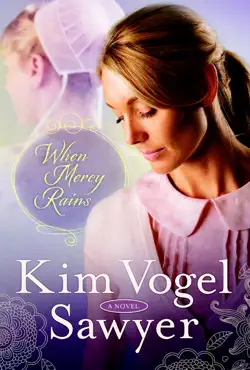 when mercy rains book cover image