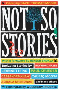 not so stories book cover image
