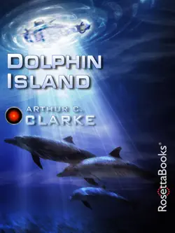 dolphin island book cover image