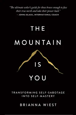 the mountain is you book cover image