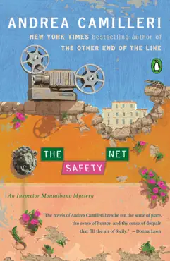the safety net book cover image