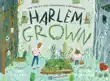 Harlem Grown synopsis, comments
