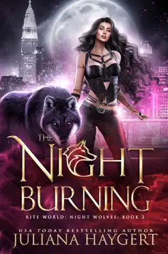 the night burning book cover image