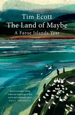 the land of maybe imagen de la portada del libro