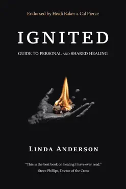 ignited book cover image