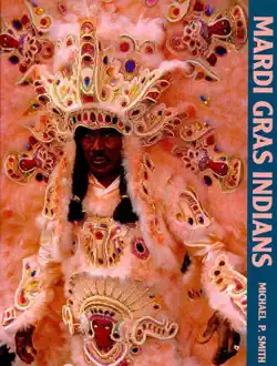 mardi gras indians book cover image