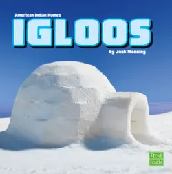igloos book cover image