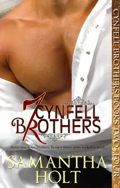 cynfell brothers books 2 - 4 book cover image