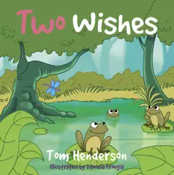 two wishes book cover image