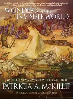 wonders of the invisible world book cover image