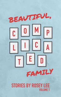 beautiful, complicated family: volume 1 book cover image