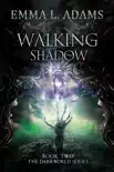 Walking Shadow synopsis, comments
