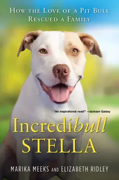 incredibull stella book cover image