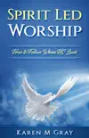 Spirit Led Worship synopsis, comments