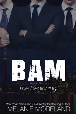 bam - the beginning book cover image