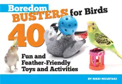 boredom busters for birds book cover image