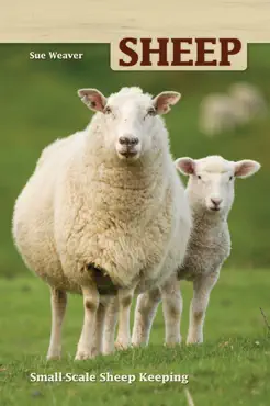 sheep book cover image