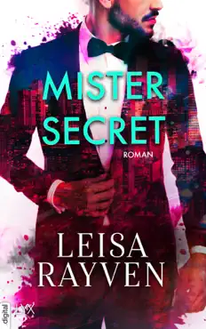 mister secret book cover image
