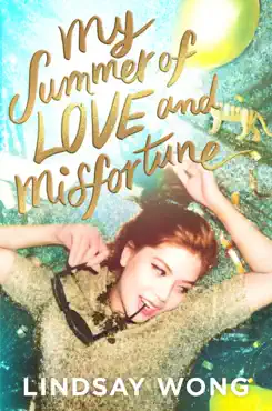 my summer of love and misfortune book cover image