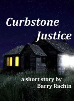 curbstone justice book cover image