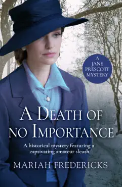 a death of no importance book cover image