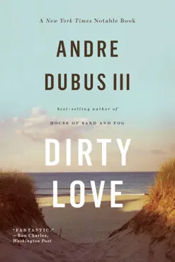 dirty love book cover image