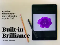 built-in brilliance book cover image