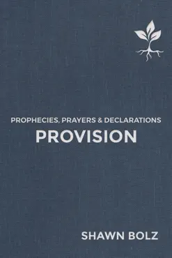 provision book cover image