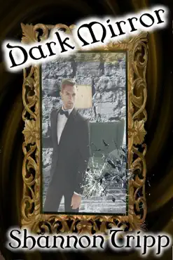 dark mirror book cover image