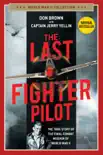 The Last Fighter Pilot synopsis, comments