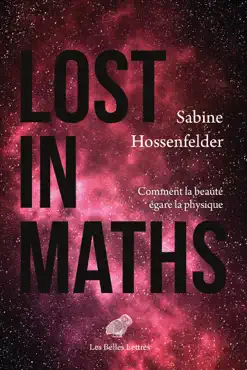 lost in maths book cover image
