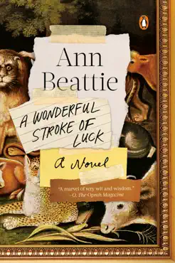 a wonderful stroke of luck book cover image