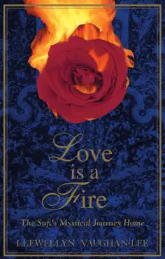 love is a fire book cover image