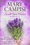 Small Town Perfect Boxed Set 2 synopsis, comments