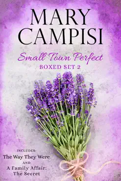 small town perfect boxed set 2 book cover image