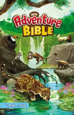 nrsv, adventure bible book cover image