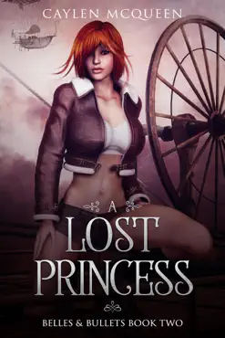 a lost princess book cover image