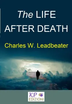 the life after death book cover image