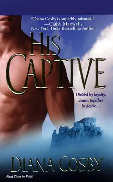 his captive book cover image