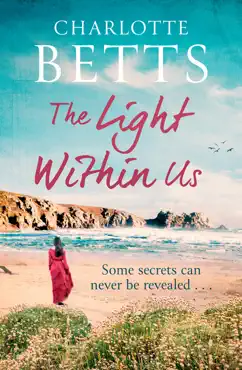 the light within us book cover image