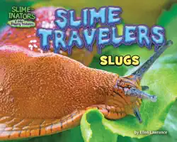 slime travelers book cover image
