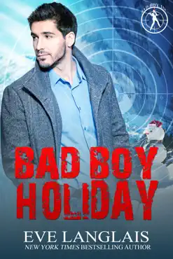 bad boy holiday book cover image