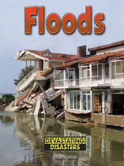 floods book cover image