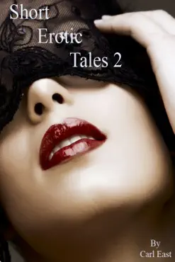 short erotic tales 2 book cover image