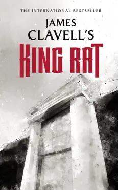 king rat book cover image