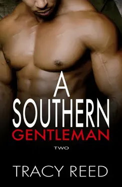 a southern gentleman vol 2 book cover image