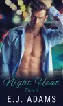Night Heat Part 1 synopsis, comments