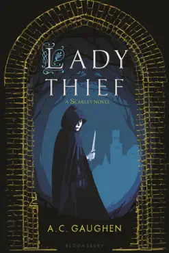 lady thief book cover image
