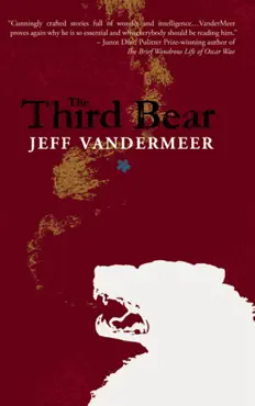 third bear book cover image