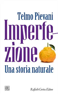 imperfezione book cover image